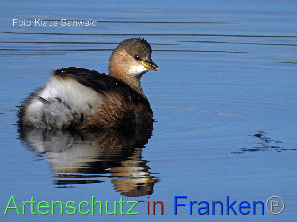 Copyright AiF / Klaus Sanwald Bild zum Eintrag (102808-160)