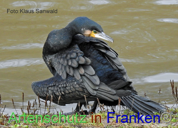 Copyright AiF / Klaus Sanwald Bild zum Eintrag (102823-160)