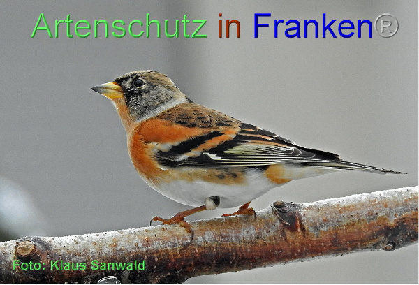 Copyright AiF / Klaus Sanwald Bild zum Eintrag (102880-160)