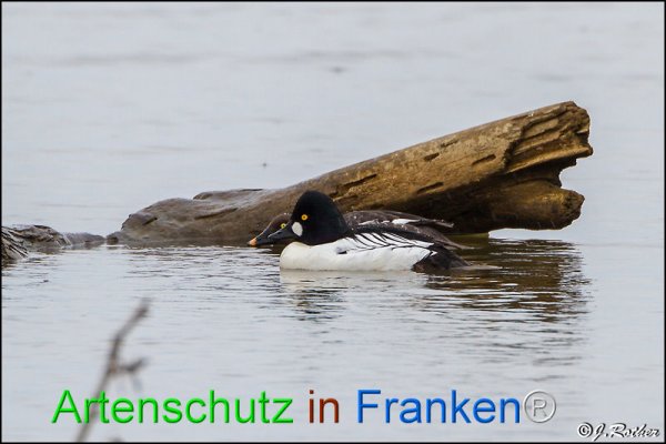 Copyright AiF Johannes Rother Bild zum Eintrag (1039397-160)