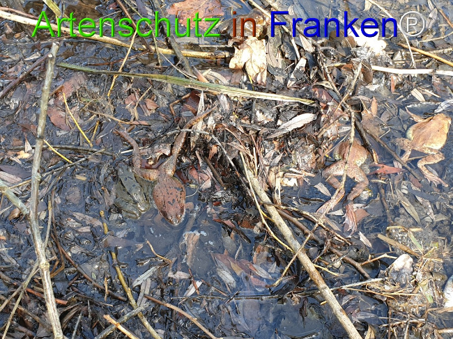 Bild zum Eintrag (1045482-160)