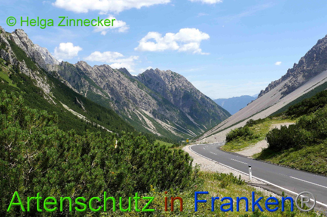 © Artenschutz in Franken® / Helga Zinnecker Bild zum Eintrag (1055011-160)