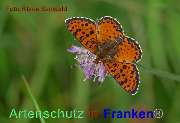 Copyright AiF - Klaus Sanwald Bild zum Eintrag (1055224-160)