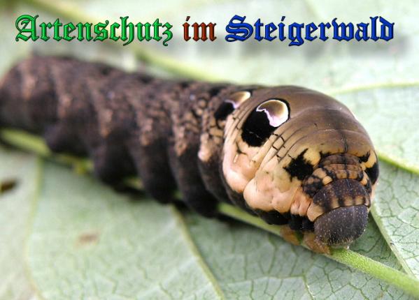 Copyright AiS- Albert Meier Bild zum Eintrag (1055492-160)