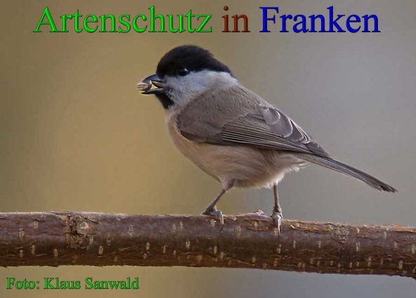Copyright AiS - Klaus Sanwald Bild zum Eintrag (1061049-160)