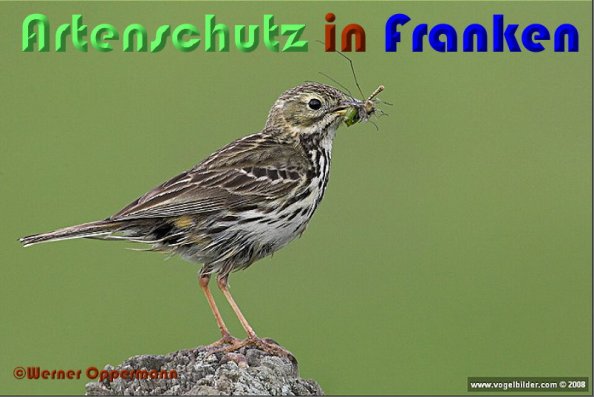 Copyright AiS Werner Oppermann Bild zum Eintrag (1062046-160)