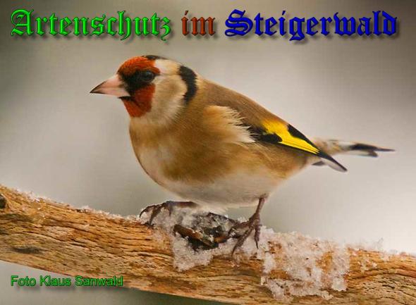 Copyright AiS-Klaus Sanwald Bild zum Eintrag (1064852-160)