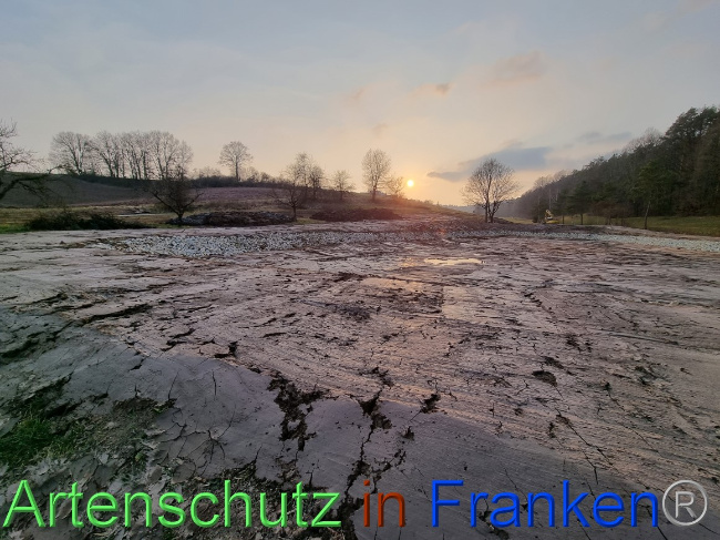 © Artenschutz in Franken® Bild zum Eintrag (1065111-160)