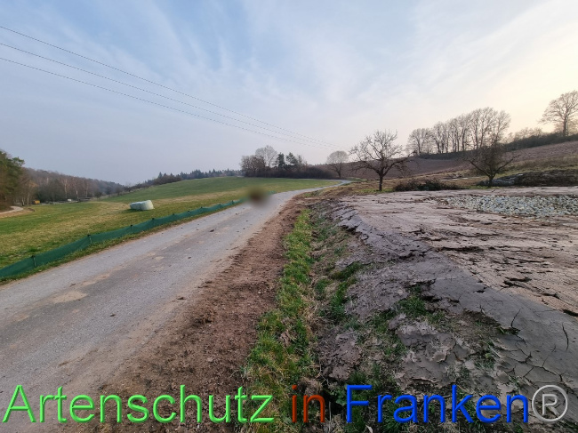 Bild zum Eintrag (1065114-160)