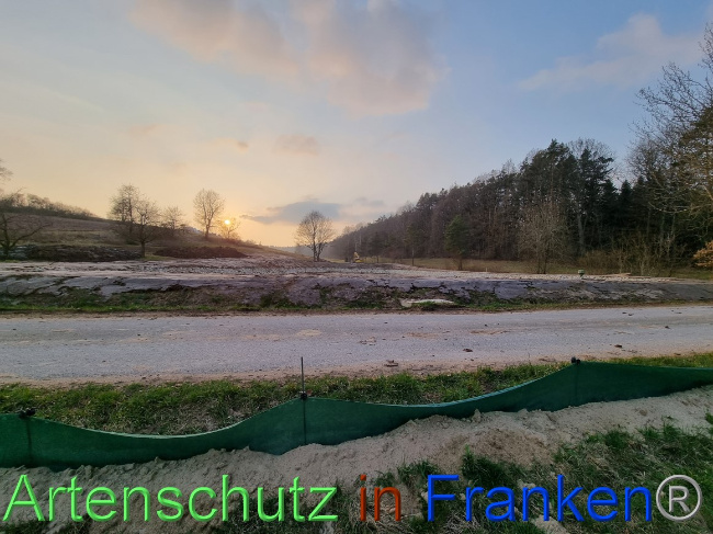 Bild zum Eintrag (1065115-160)