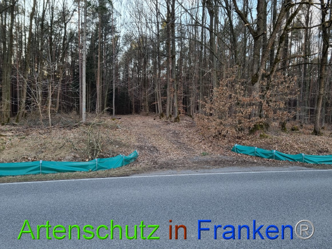 © Artenschutz in Franken® Bild zum Eintrag (1066220-160)