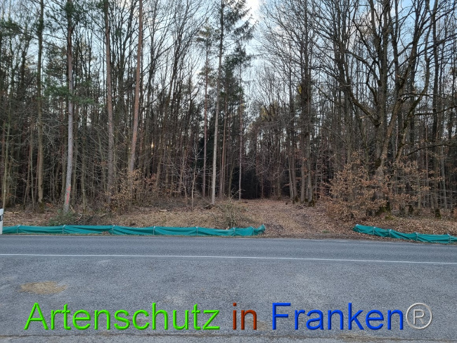 © Artenschutz in Franken® Bild zum Eintrag (1066221-160)