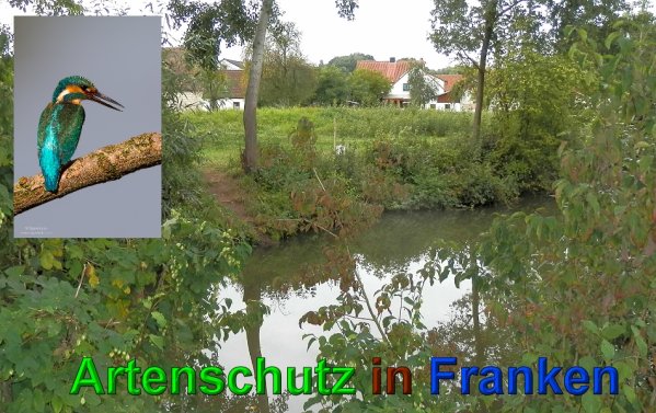 Copyright AiS- Albert Meier und Werner Oppermann Bild zum Eintrag (1067204-160)