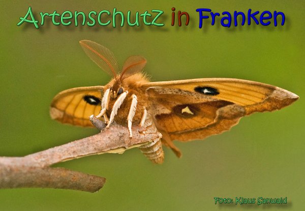 Copyright AiS Klaus Sanwald Bild zum Eintrag (1068756-160)