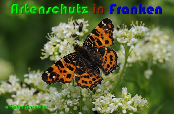 Copyright AiS Helga Zinnecker Bild zum Eintrag (1072056-160)