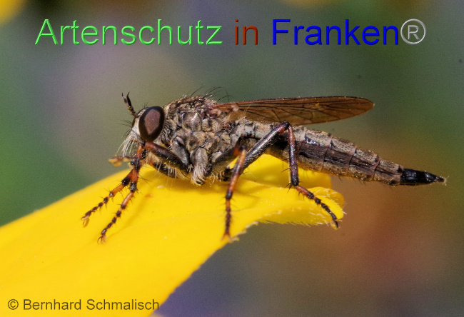 Bild zum Eintrag (1073758-160)