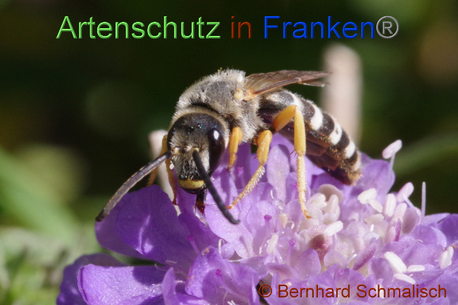 Bild zum Eintrag (1075902-160)