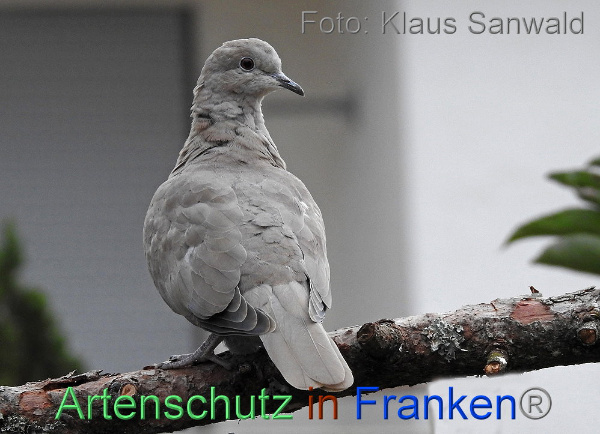 Copyright AiF / Klaus Sanwald Bild zum Eintrag (1080447-160)