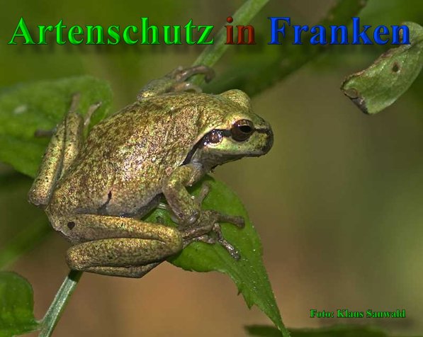 Copyright AiS-Klaus Sanwald Bild zum Eintrag (1083991-160)