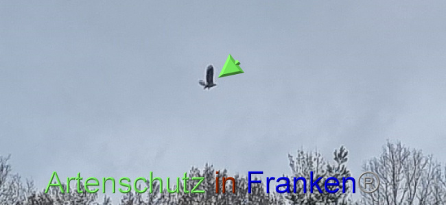 © Artenschutz in Franken® Bild zum Eintrag (1084016-160)