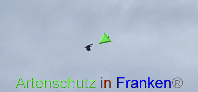 © Artenschutz in Franken® Bild zum Eintrag (1084017-160)