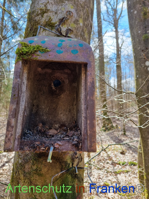 © Artenschutz in Franken® Bild zum Eintrag (1084200-160)