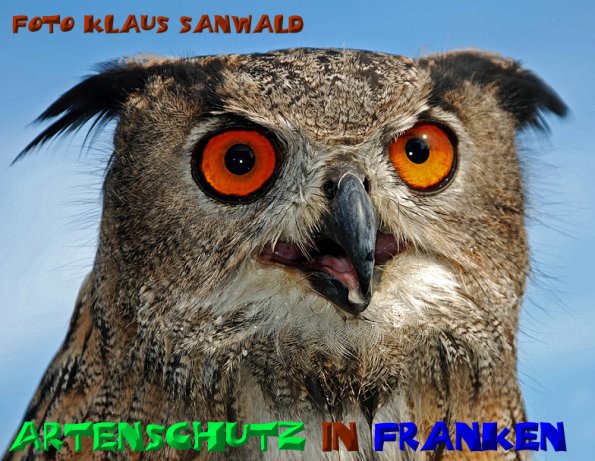 Copyright AiS - Klaus Sanwald Bild zum Eintrag (1095285-160)