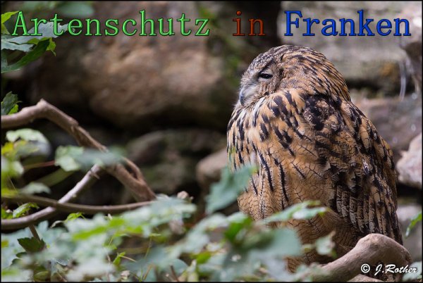 Copyright AiS Johannes Rother Bild zum Eintrag (1095286-160)