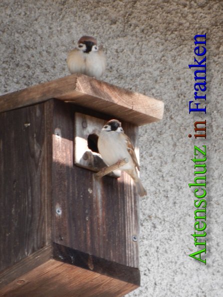 Copyright AiS - Mitterhuber Bild zum Eintrag (1096292-160)