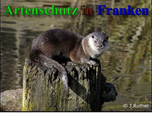 Copyright AiS-Johannes Rother Bild zum Eintrag (1096588-160)
