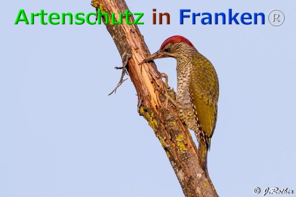 Copyright AiF Johannes Rother Bild zum Eintrag (1103875-160)
