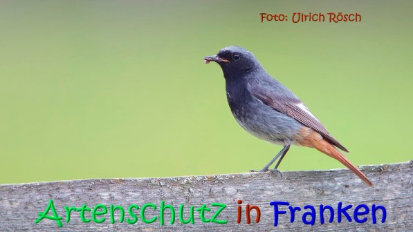 Copyright AiS Ulrich Rösch Bild zum Eintrag (1103880-160)