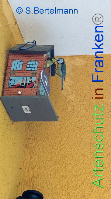 Bild zum Eintrag (1104760-160)