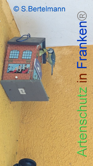 Bild zum Eintrag (1104761-160)