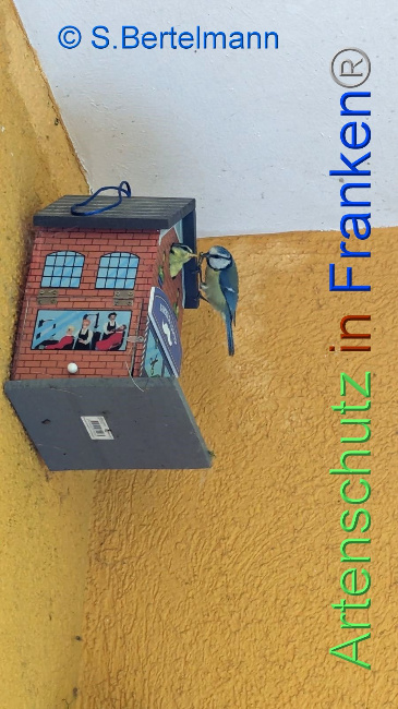 Bild zum Eintrag (1104762-160)