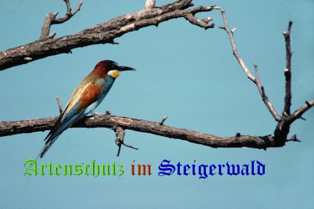 Copyright AiS / Hubert G. Schmid Bild zum Eintrag (1104819-160)