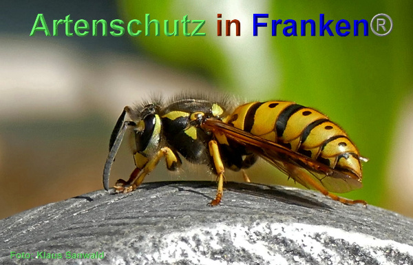 Bild zum Eintrag (1104857-160)