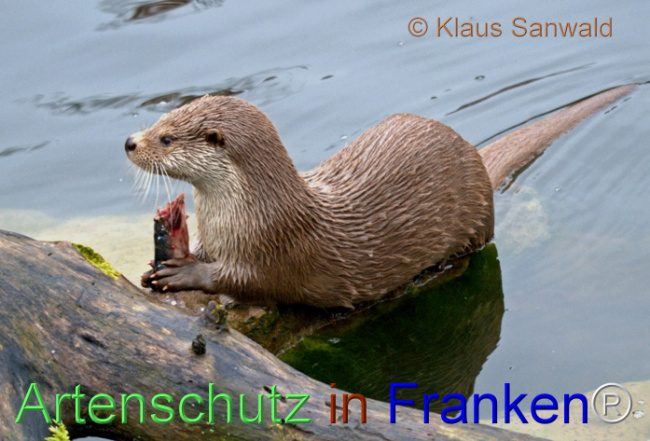 Bild zum Eintrag (1104987-160)