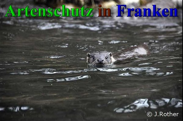 Bild zum Eintrag (1104989-160)