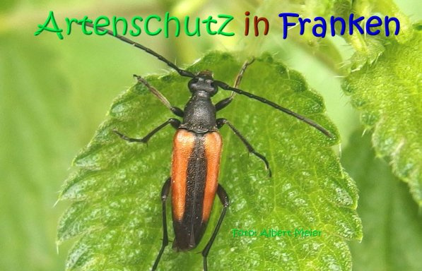 © Artenschutz in Franken® / Albert Meier Bild zum Eintrag (1105080-160)