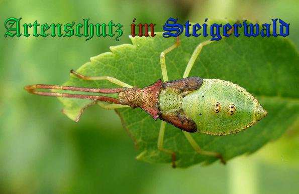 Bild zum Eintrag (1105613-160)