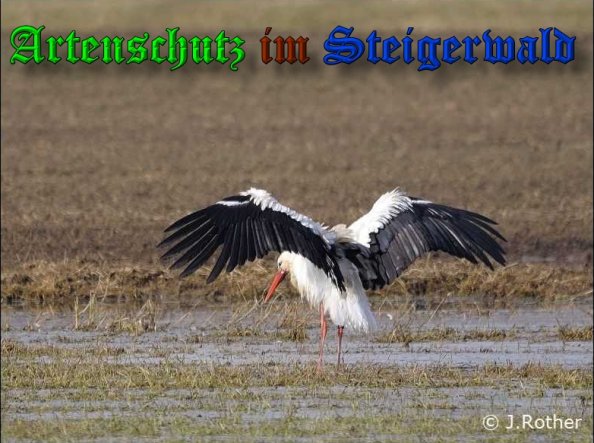 Bild zum Eintrag (1105830-160)