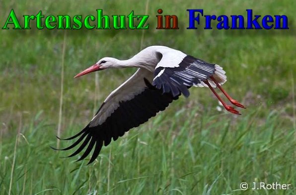 Bild zum Eintrag (1105837-160)