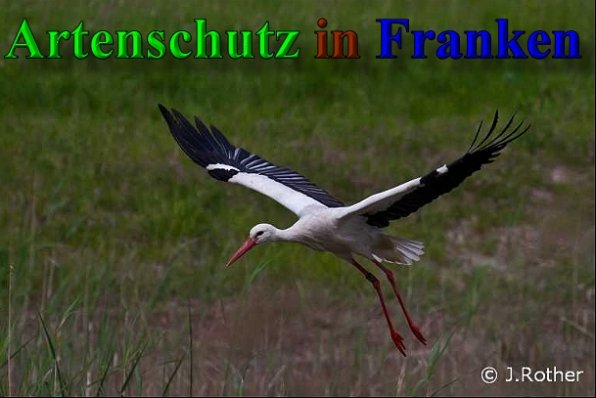 Bild zum Eintrag (1105838-160)