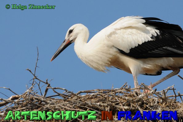 Copyright AiS Helga Zinnecker Bild zum Eintrag (1105848-160)