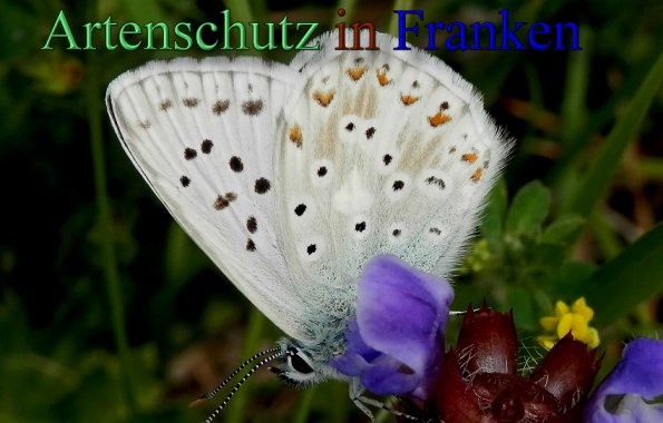 Copyright AiS Bild zum Eintrag (1106062-160)