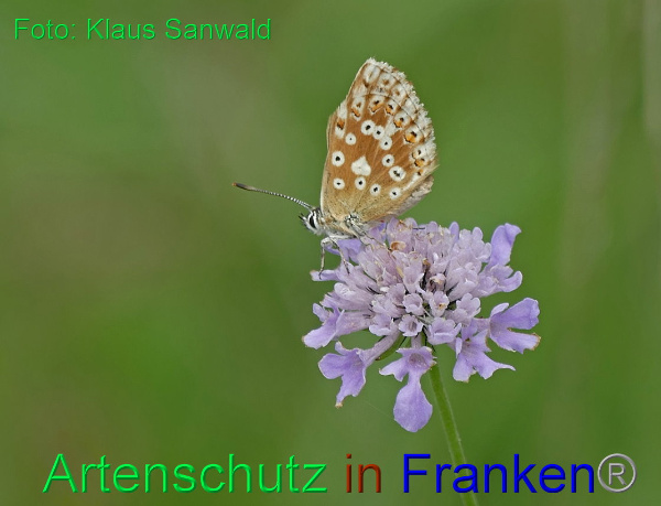 Copyright AiF - Klaus Sanwald Bild zum Eintrag (1106077-160)