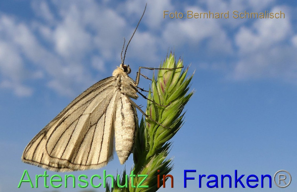 Copyright AiF / Bernhard Schmalisch Bild zum Eintrag (1106630-160)