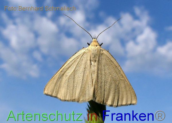 Copyright AiF / Bernhard Schmalisch Bild zum Eintrag (1106631-160)
