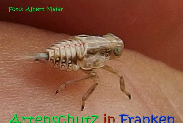 Copyright AiS Albert Meier Bild zum Eintrag (1106658-160)